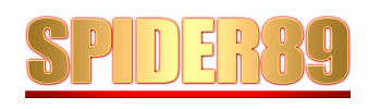 Logo Spider89